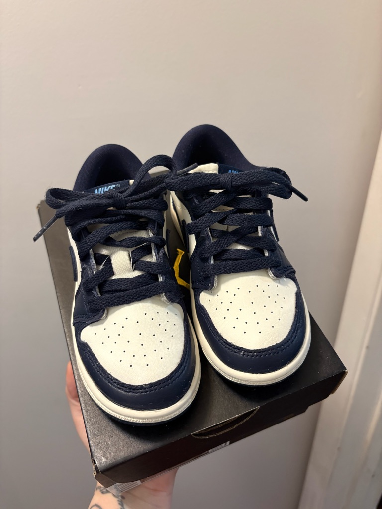 Air Jordan 1 Low